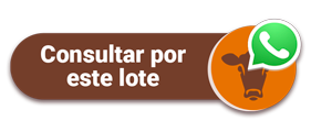 consultar